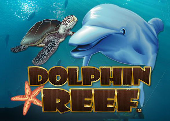 Free slot game dolphin reef